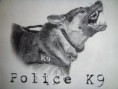 /album/kepgaleria-vilag-040/kivulallok-jpg/